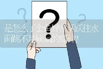 是怎么了金鱼异常活跃往水面跳不是缺氧的那种？