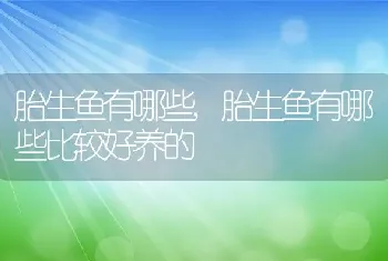 胎生鱼有哪些，胎生鱼有哪些比较好养的