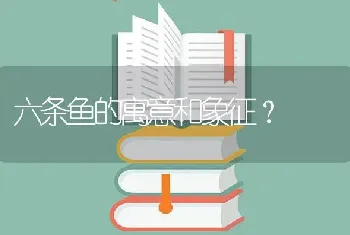 六条鱼的寓意和象征？