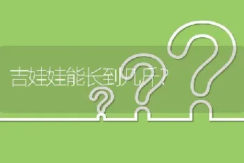 吉娃娃能长到几斤？