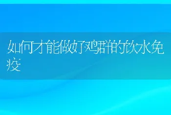 鱼类暴发性流行病的预防与治疗