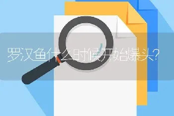 罗汉鱼什么时候开始爆头？