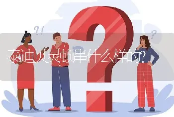 泰迪贝灵顿串什么样的？