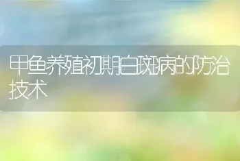 甲鱼养殖初期白斑病的防治技术