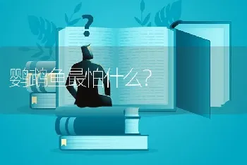 鹦鹉鱼最怕什么？