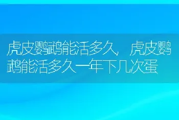 虎皮鹦鹉能活多久，虎皮鹦鹉能活多久一年下几次蛋