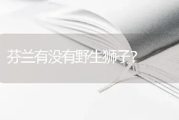 边牧长大了能乖一点吗？