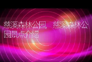 慈溪森林公园，慈溪森林公园景点介绍