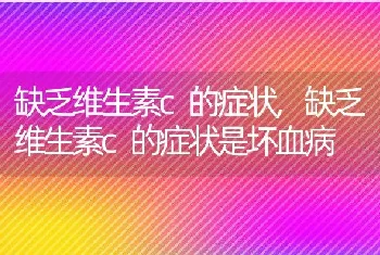 仓鼠拉稀怎么办，仓鼠拉稀怎么办没有药怎么办