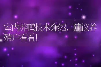 室内养鸭技术介绍，建议养殖户看看！