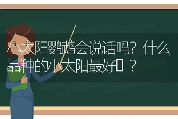 小太阳鹦鹉会说话吗？什么品种的小太阳最好❓？