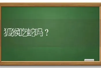 狐猴吃蛇吗？