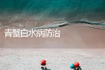 青蟹白水病防治