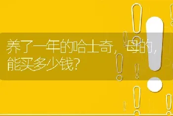 养了一年的哈士奇，母的，能买多少钱？