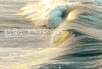 鳗鱼烂鳃病的防治