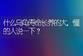 什么乌龟寿命长养的大，懂的人说一下？