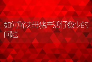 如何解决母猪产活仔数少的问题