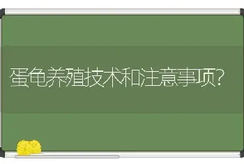 蛋龟养殖技术和注意事项？