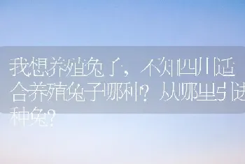 我想养殖兔子，不知四川适合养殖兔子哪种？从哪里引进种兔？