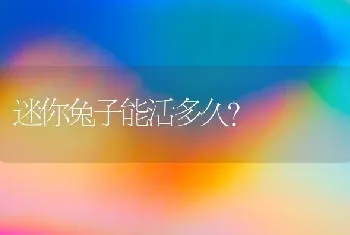 迷你兔子能活多久？