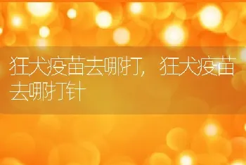 狂犬疫苗去哪打，狂犬疫苗去哪打针