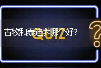 古牧和泰迪养哪个好？