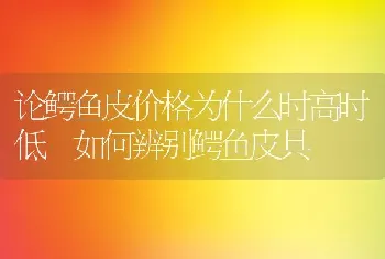 论鳄鱼皮价格为什么时高时低 如何辨别鳄鱼皮具