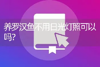 养罗汉鱼不用日光灯照可以吗？