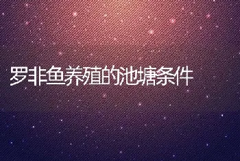 罗非鱼养殖的池塘条件