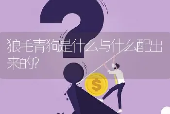 狼毛青狗是什么与什么配出来的？