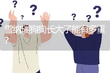 雪纳瑞狗狗长大了能有多重？