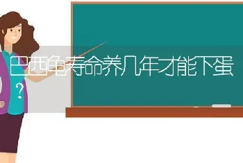 巴西龟寿命养几年才能下蛋？