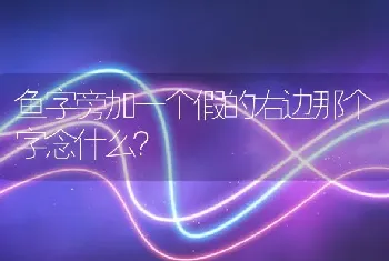 鱼字旁加一个假的右边那个字念什么？