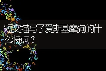 短文描写了爱斯基摩狗的什么特点？