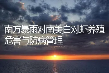 南方暴雨对南美白对虾养殖危害与防病管理