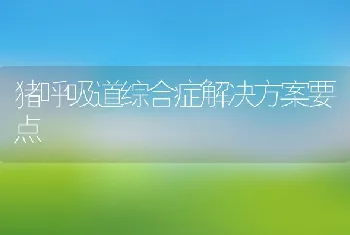 猪呼吸道综合症解决方案要点