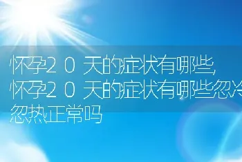 怀孕20天的症状有哪些，怀孕20天的症状有哪些忽冷忽热正常吗