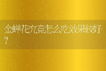 金蝉花究竟怎么吃效果较好？