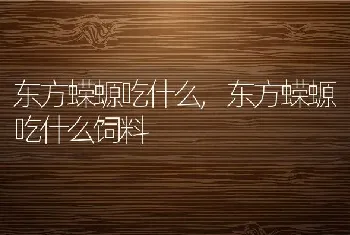 东方蝾螈吃什么，东方蝾螈吃什么饲料