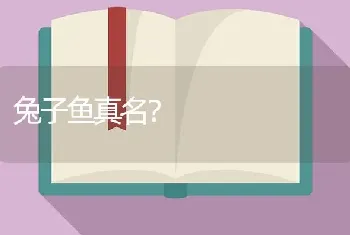 兔子鱼真名？