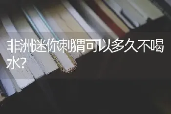 非洲迷你刺猬可以多久不喝水？