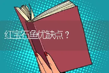 红宝石鱼优缺点？