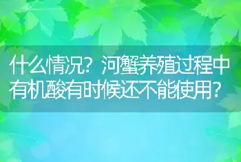 什么情况？河蟹养殖过程中有机酸有时候还不能使用？