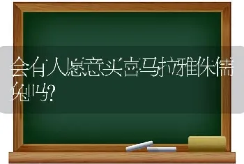 会有人愿意买喜马拉雅侏儒兔吗？