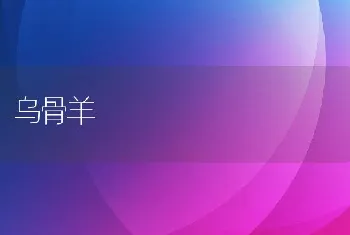 生鱼：选种慎防二代苗