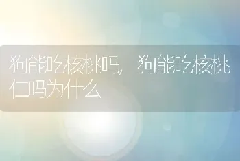 狗能吃核桃吗，狗能吃核桃仁吗为什么