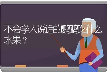 不会学人说话的鹦鹉吃什么水果？