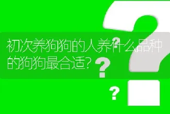 初次养狗狗的人养什么品种的狗狗最合适？