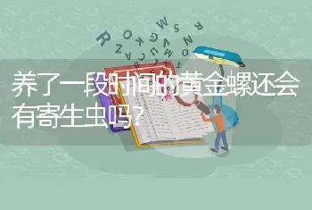 养了一段时间的黄金螺还会有寄生虫吗？