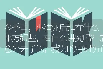 冬季里，小猫死后埋在什么地方好些，有什么讲究吗？是意外去了的，我哭的特别伤心？